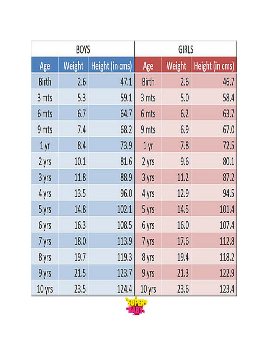 Weight Height Ratio All You Need To Know