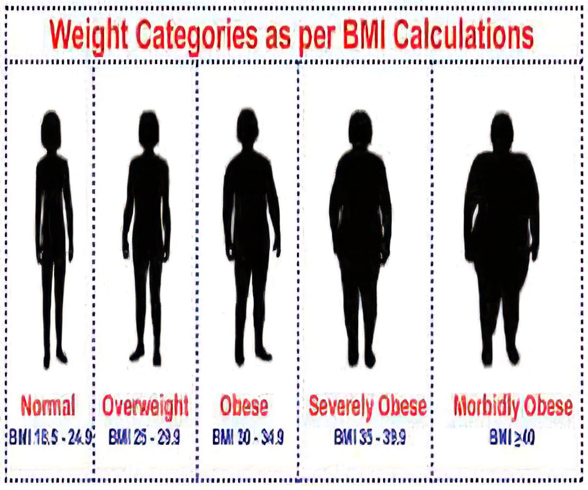 bmi-249-female-everything-you-wanted-to-know