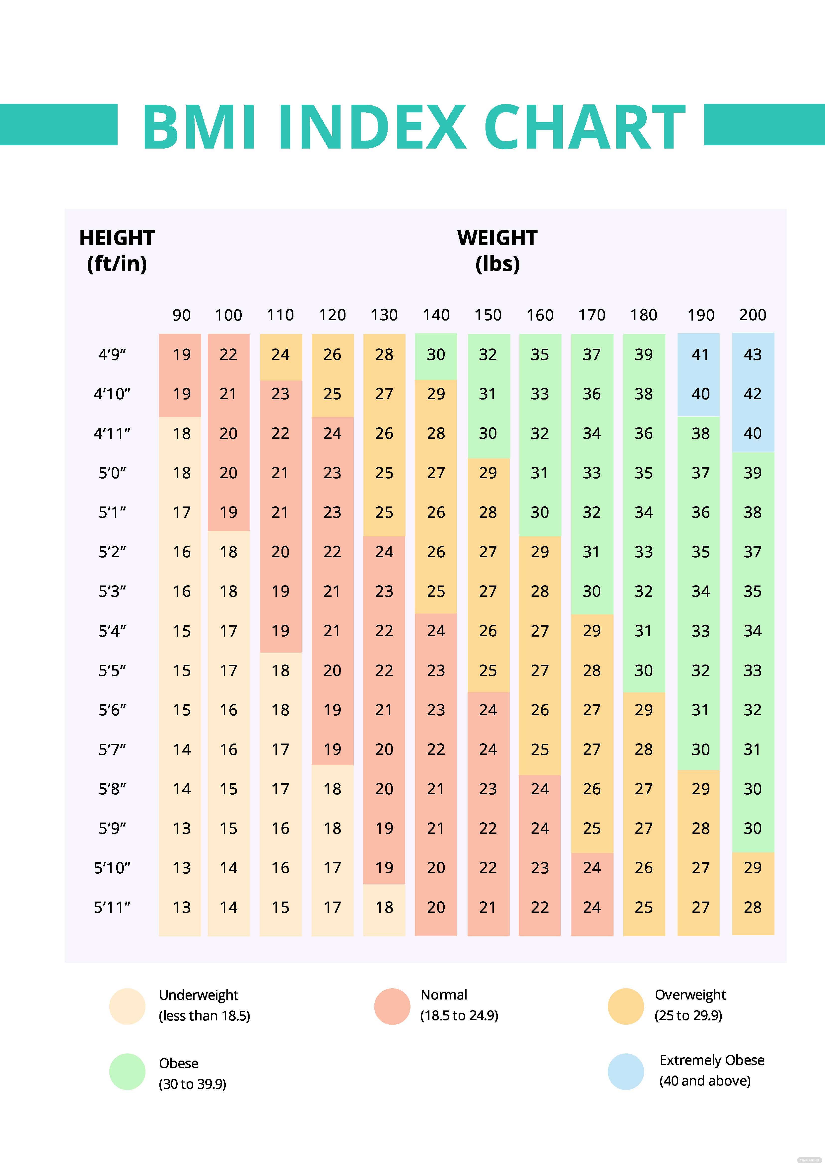 Bmi 5 6 Female