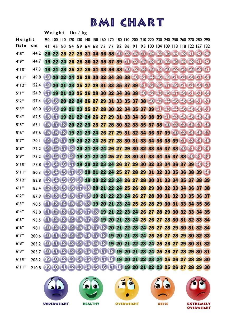 Bmi Index Chart For Women