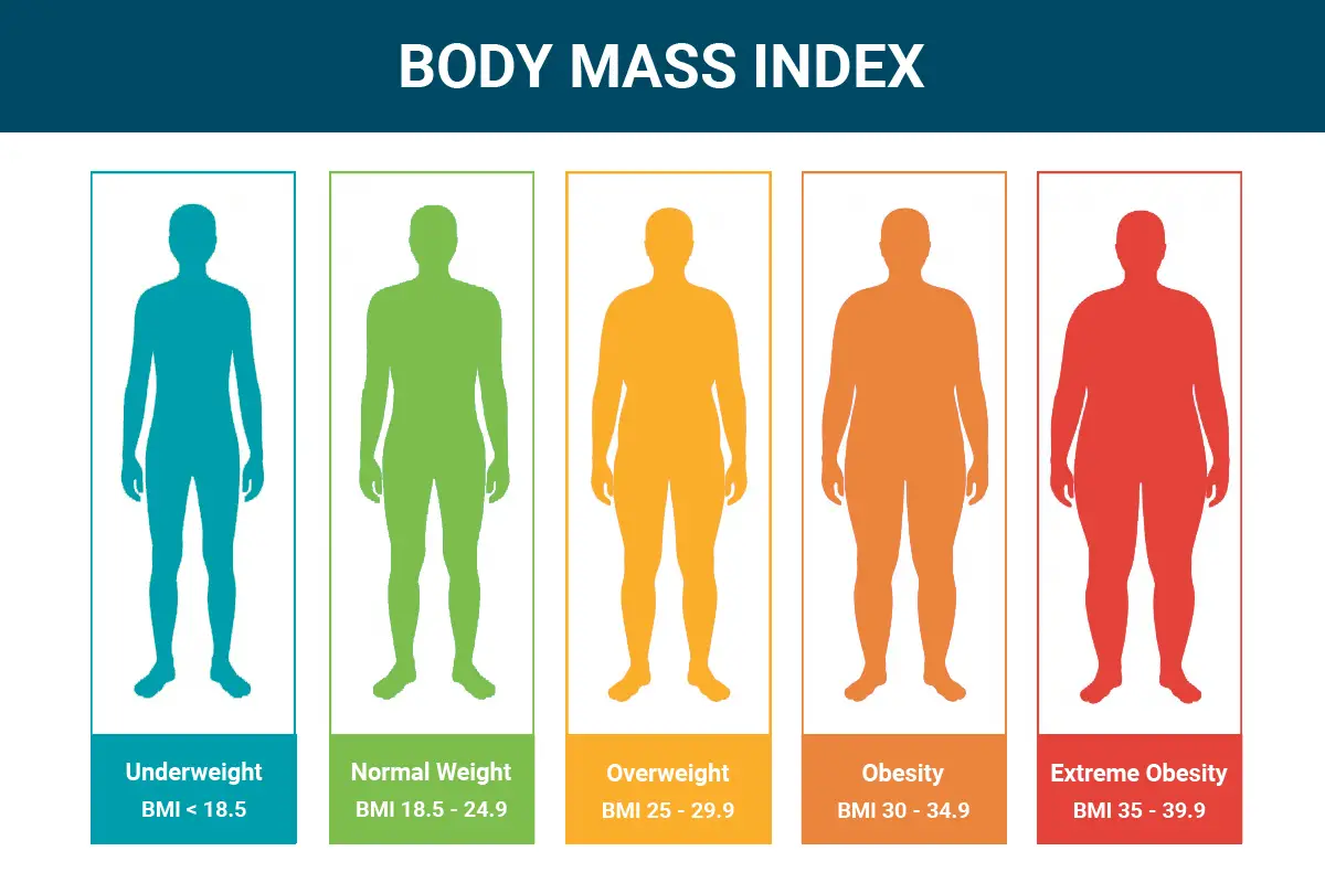 Healthy Bmi For 6 Foot Male