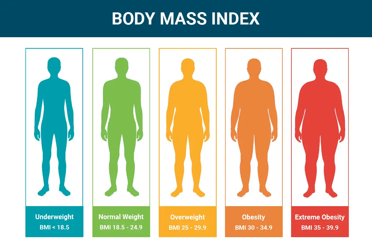 6 Feet Bmi All Facts You Need To Know