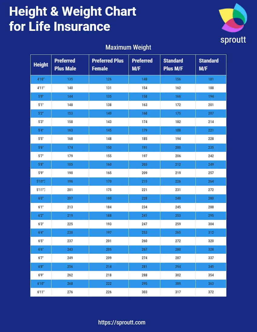 Size Weight Chart: All Facts You Need To Know