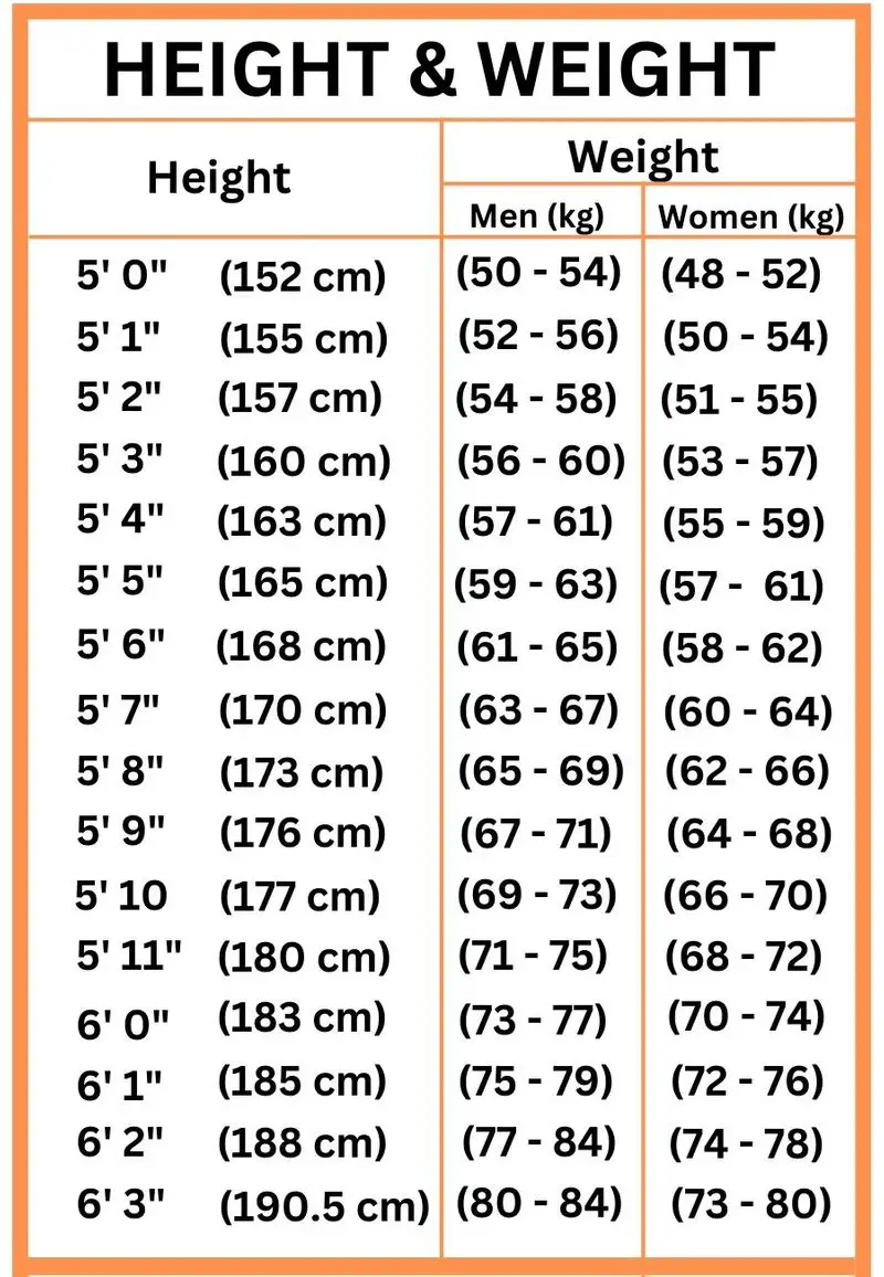 Weight And Bmi: Everything You Wanted To Know