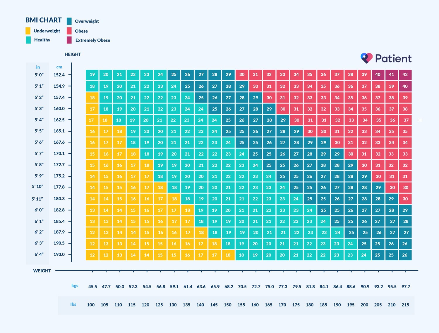 Measure My Bmi All Facts You Need To Know