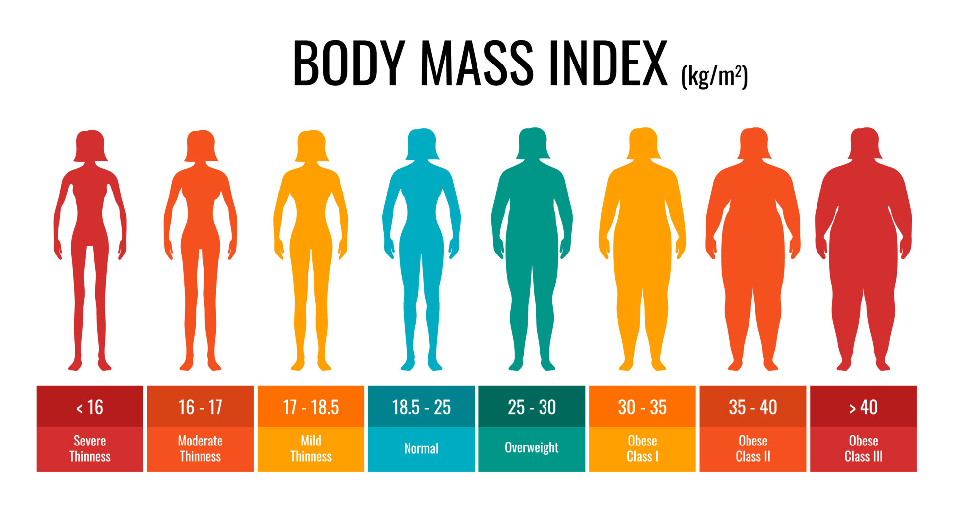 Obese Woman Chart