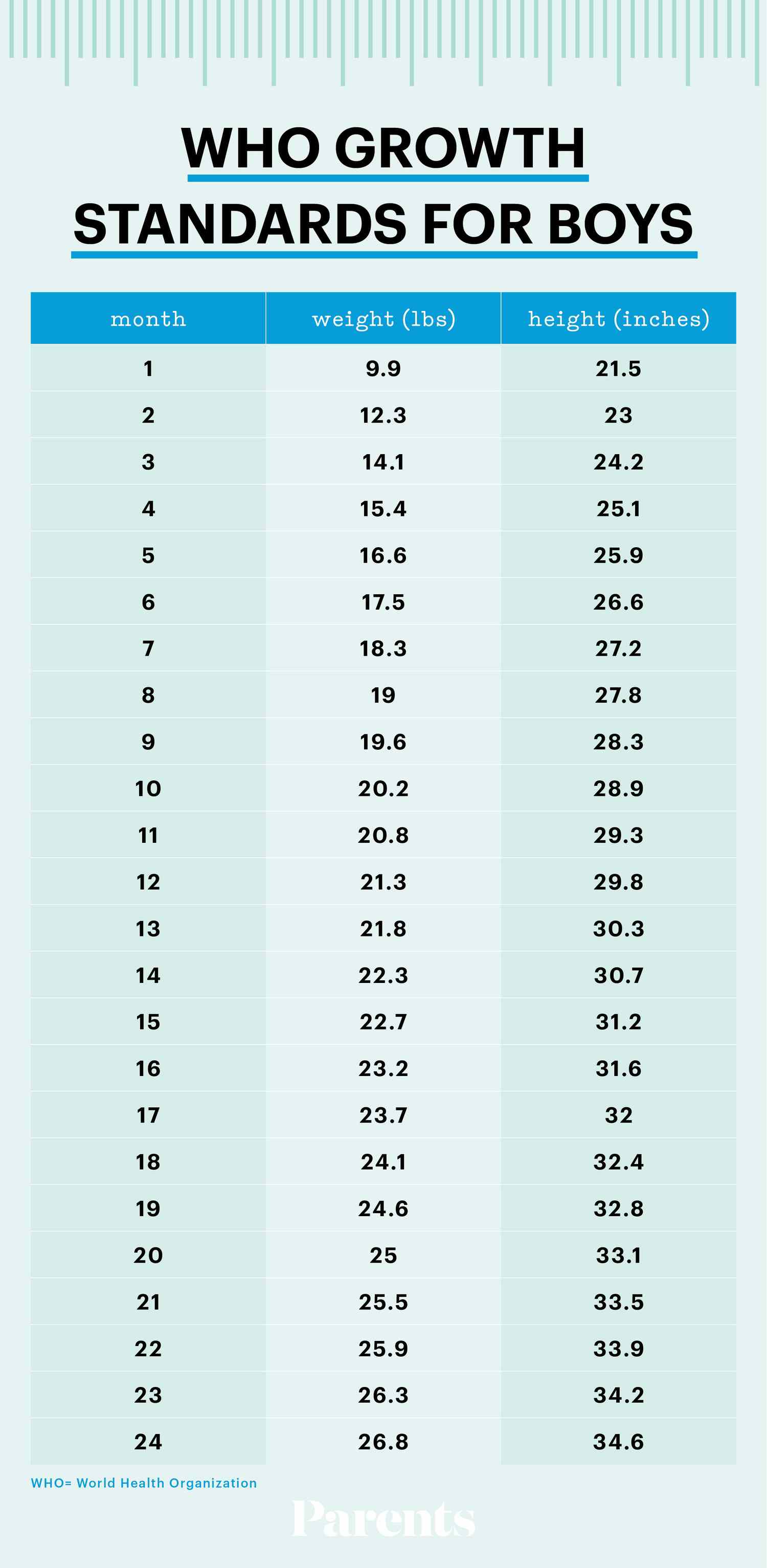 Weight And Height Charts