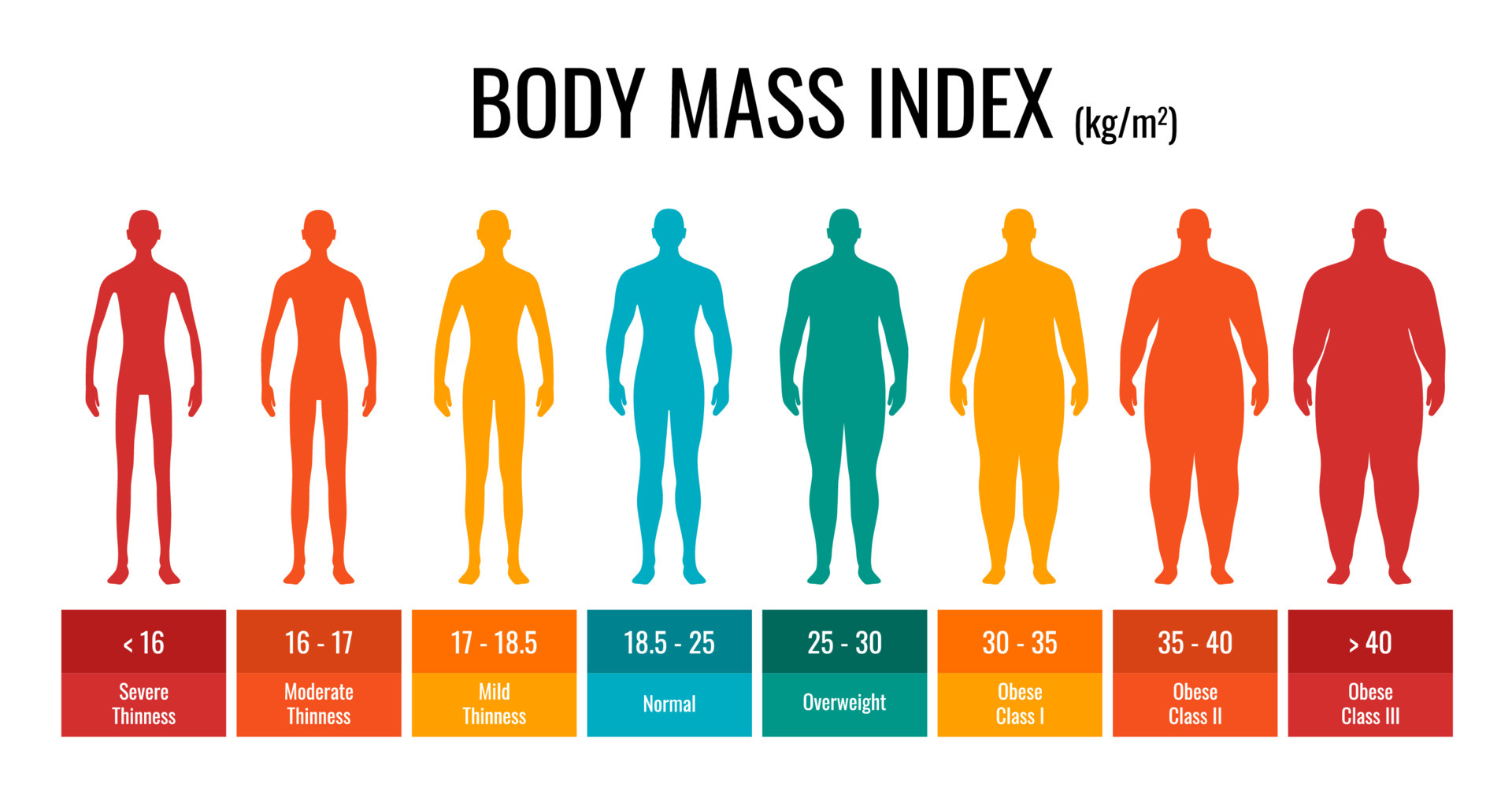 Weight Graph Male