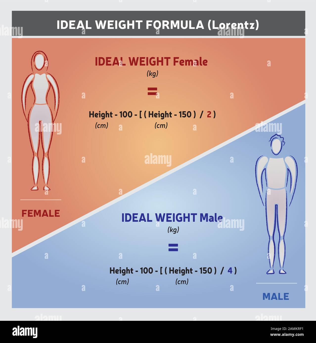 What Is The Ideal Weight