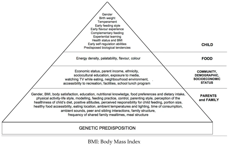 Creating An Environment That Supports Healthy Eating