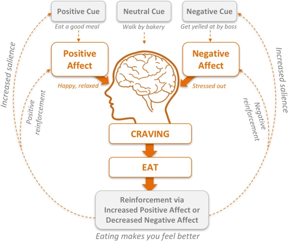 Factors Influencing Food Choices And Overeating