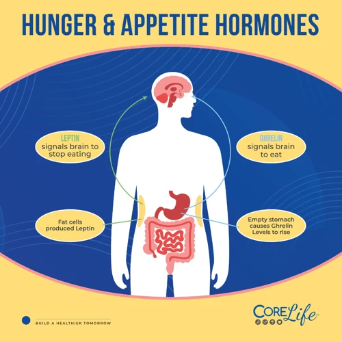 Hormones That Control Hunger