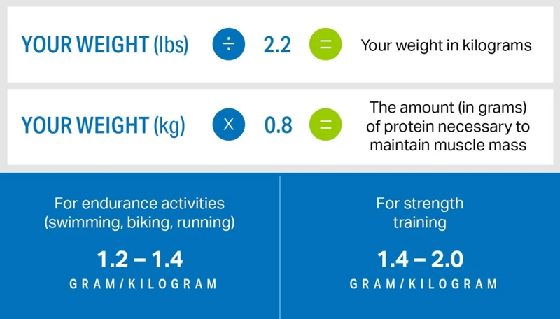 How Much Protein Do You Need For Weight Loss?