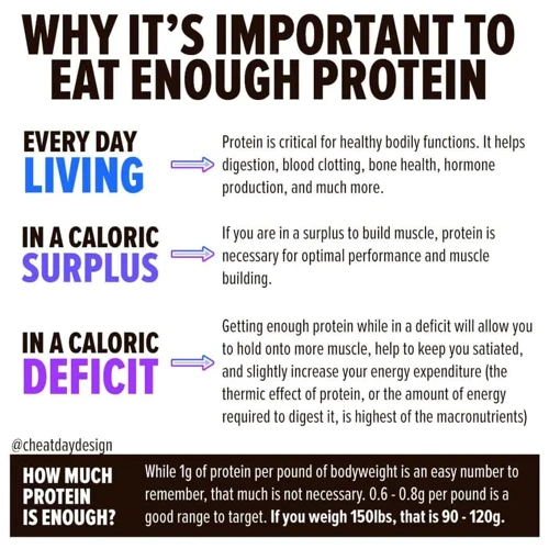 How Much Protein You Need