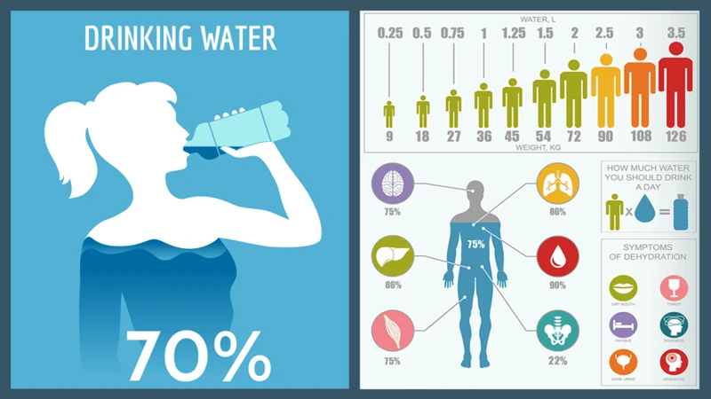 How Much Water Should You Drink?