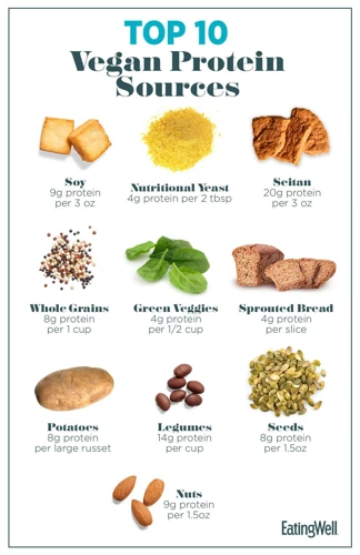How To Incorporate These Protein Sources Into Your Diet