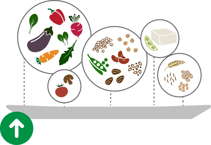 Protein Quality 101