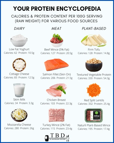 Sources Of Protein