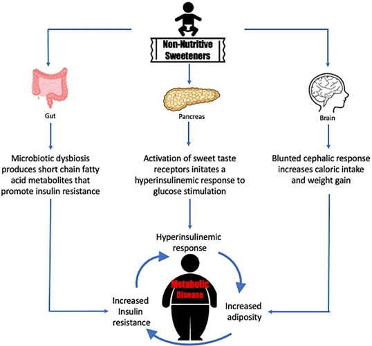 Sugar Intake And Weight Gain