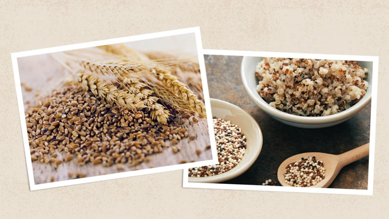 The Benefits Of Choosing Whole Grains Over Refined Grains