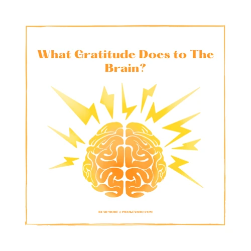 The Benefits Of Gratitude