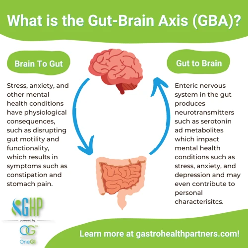 The Gut-Brain Connection