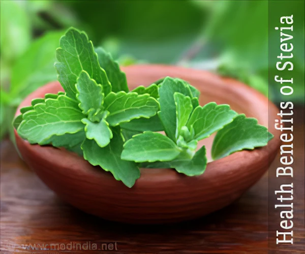 The Health Benefits Of Stevia