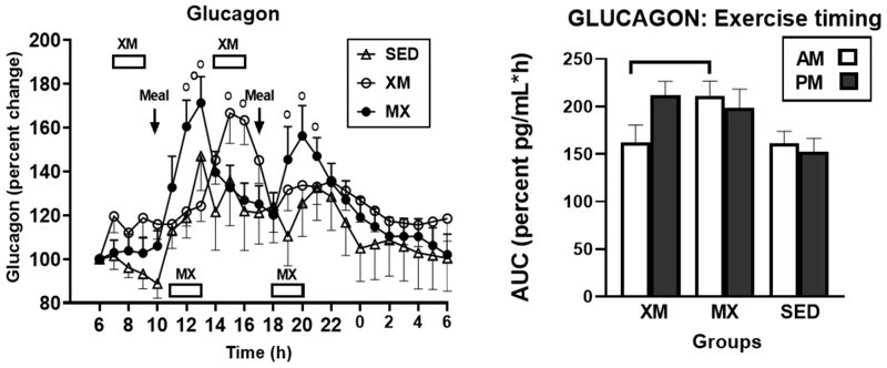 The Role Of Exercise In Managing Hunger And Metabolism