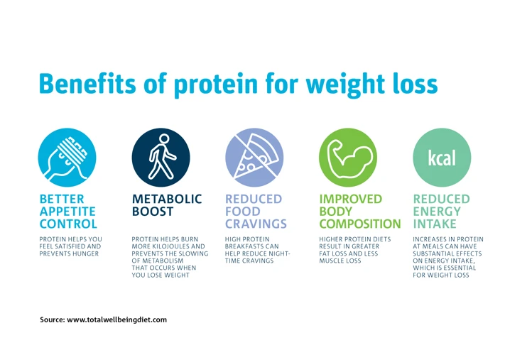 The Role Of Protein In Weight Loss