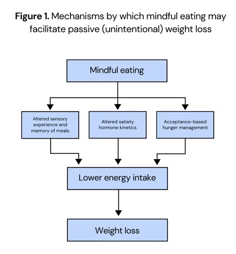 The Science Behind Mindful Eating