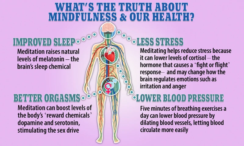 The Science Behind Mindfulness And Weight Loss