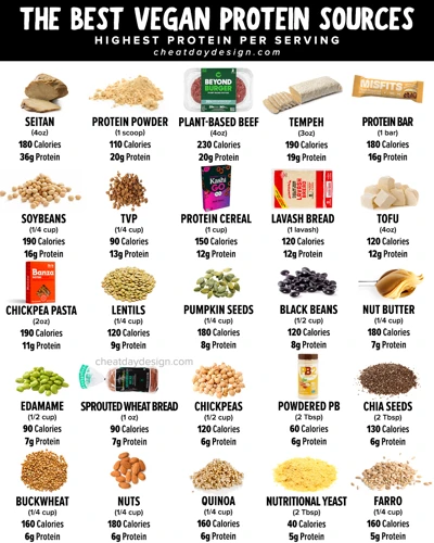 Top 10 Plant-Based Protein Sources For Vegetarians And Vegans