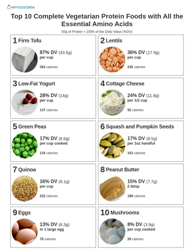 Top 10 Vegetarian Protein Sources