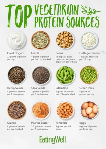 Top Vegetarian And Vegan Protein Sources