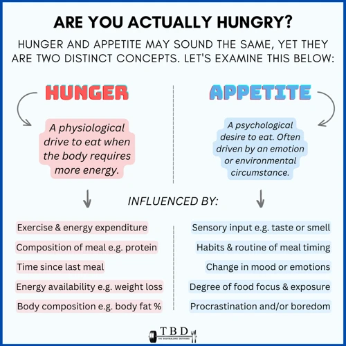 Understanding Hunger And Cravings