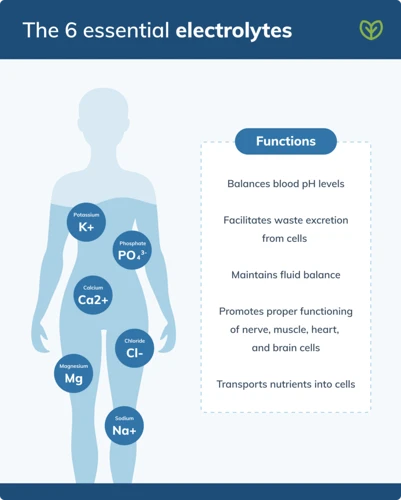 What Are Electrolytes?