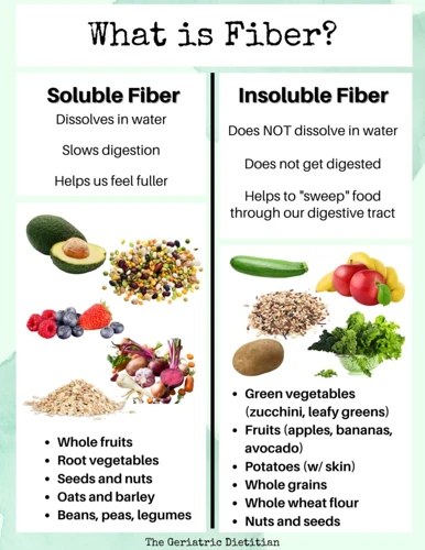 What Is Fiber?