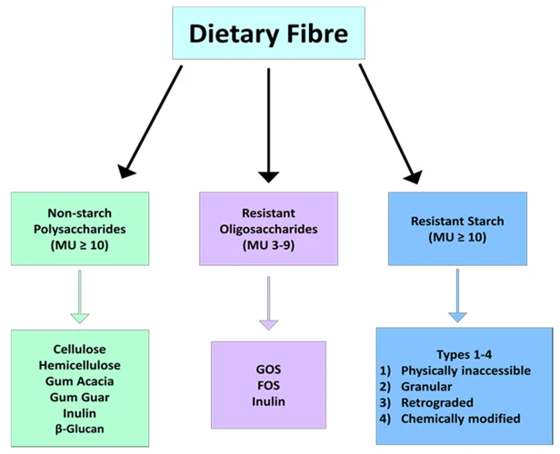 What Is Fiber And How Does It Work?