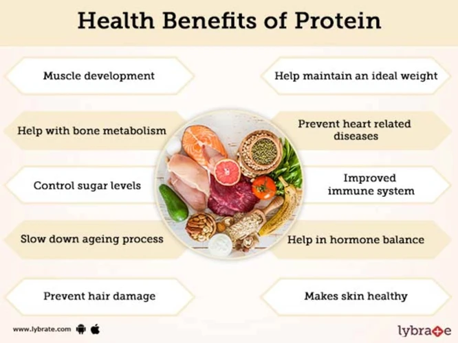 What Is Protein?