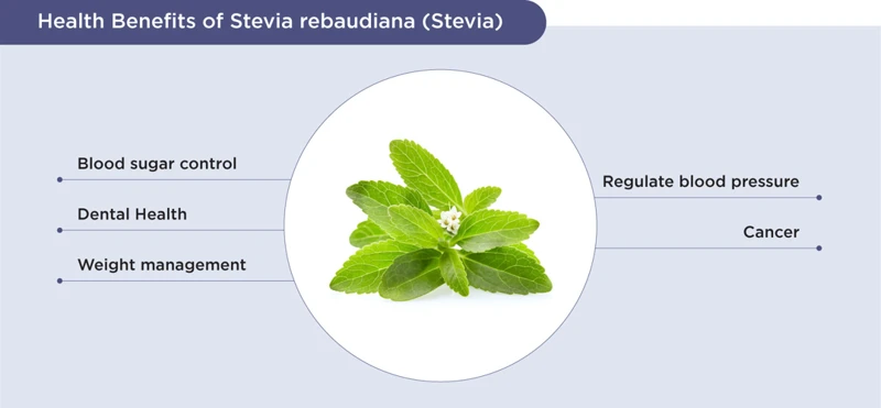 What Is Stevia And How Is It Different From Sugar?