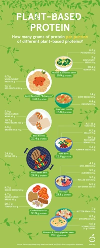 Why Protein Is Important For Vegetarians And Vegans