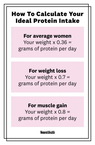 Why Protein Is Important For Weight Loss